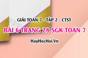 Giải bài 6 trang 28 Toán 7 Tập 2 SGK Chân trời sáng tạo